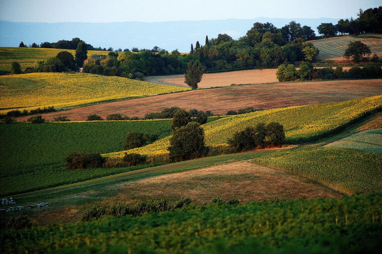 Auberge Du Poids Public Logis Hotel Saint-Felix-Lauragais ภายนอก รูปภาพ